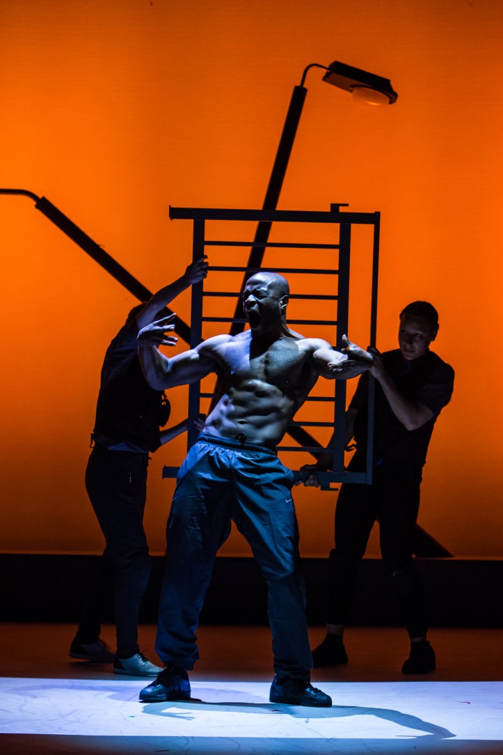 RWD16_The Jungle Book_186.JPG