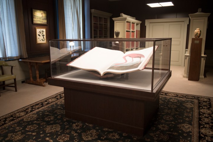 The Birds of America Book by John James Audubon